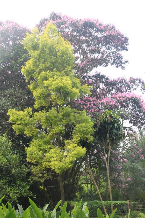 Le Residence De Josephine Kloof Ngoại thất bức ảnh